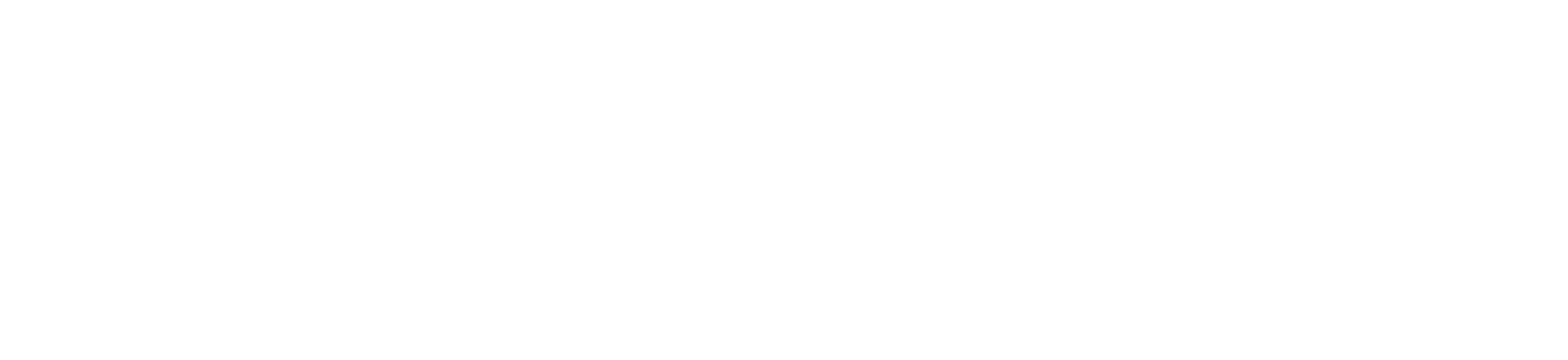 SOLCAM